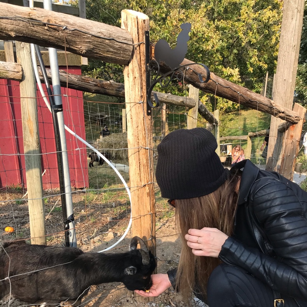 Meet your Posher, Tara